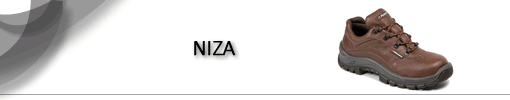 Niza